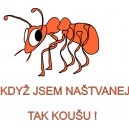 Když jsem naštvanej