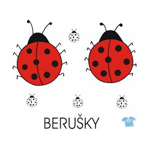 Berušky