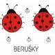 Berušky