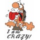 I am crazy